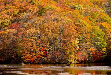 images autumn nature forest river