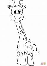 Coloring Giraffe Cartoon Pages Printable Paper sketch template