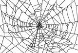 Spinne Cool2bkids Spinnen Spinnennetz sketch template