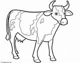 Vacas Mucche Cows Desenhos Animados Cartonionline sketch template