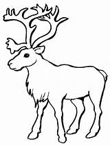 Reindeer Coloringme sketch template