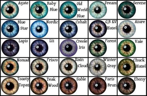 finding inspiration   eye color chart eye color writing