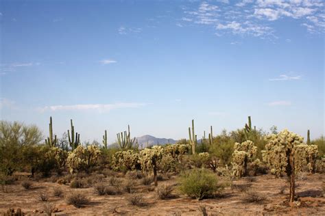 modistamodesta arizona desert envy