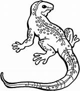 Lizard Coloring Pages Drawing Gila Monster Kids Print Monitor Spiderman Getcolorings Column Corinthian Getdrawings Book Paintingvalley Color Chuckwalla sketch template