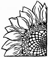 Sunflower Corner Drawing Drawings Linocut Lino Stencil Flower Print Woodle Doo Line Template Patterns Wood Girasoles Burning Dibujos Prints Sunflowers sketch template