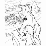 Garde Ausmalbilder Kion Roi Leeuwenwacht Leao Coloriage Lowen Leão Brult Roar Leeuwenkoning Animaatjes Simba Coloriez Hyènes Aux sketch template
