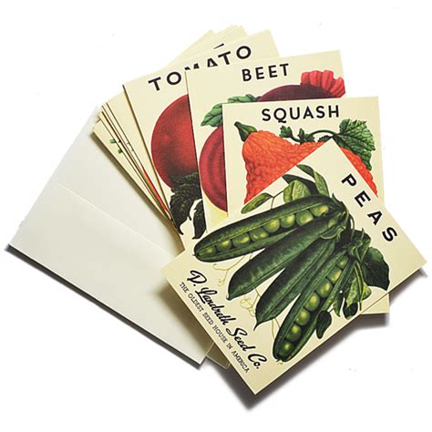 heirloom vegetable seed packet note cards vegetable seeds packets