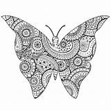 Butterfly Patterns Zentangle Coloring Insects Paisley Shape Pages Adults Butterflies Beautiful Adult Animals sketch template