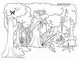 Jungle Coloring Tree Pages Getcolorings Printable sketch template