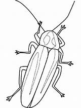 Firefly Coloring Pages Printable Lightning Bug Getcolorings sketch template