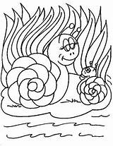 Slakken Snails Schnecken Dieren Ausmalbilder Slak Animaatjes sketch template