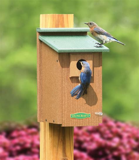 duncraftcom duncraft  eco friendly bluebird house bluebird house blue bird bird house