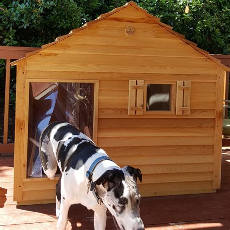 giant dog house custom wooden dog house