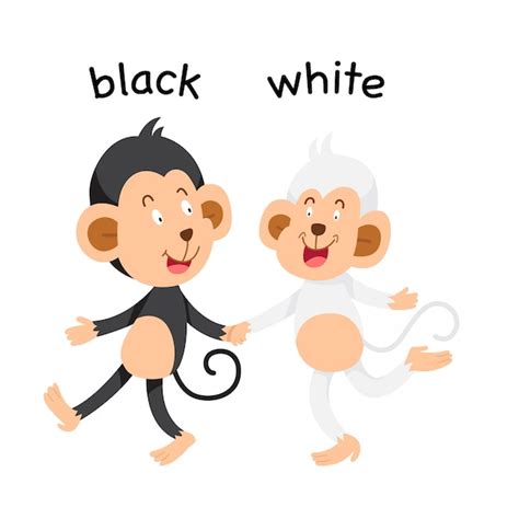 premium vector  black  white illustration