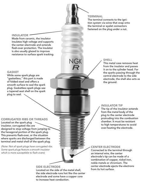 anatomy  spark plugs