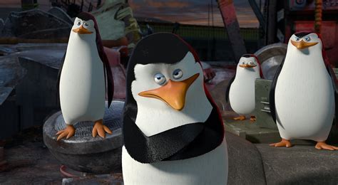 Cartoon Comedy Penguin Penguins 2k Animation Madagascar