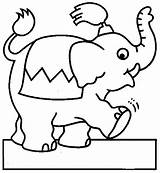 Circo Cirkus Elefante Tegning Faciles Elefantes Malebog Tegninger Nemme Colorir Desenhos Dibujo Fichas Websincloud sketch template