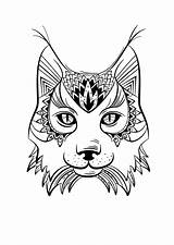 Lynx Adulte Sauvage Sauvages Luchs Coloriages Manualidades Flanerie Flânerie Clipartmag Creapassions Magnifique Chat Gratuitement Archivioclerici Abrir Ausmalen Imprimé sketch template