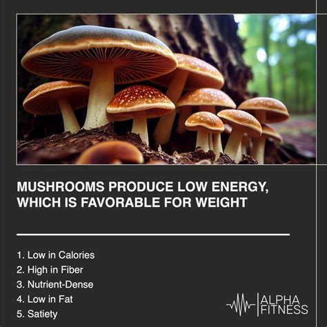Mushrooms Produce Low Energy Which Is Favorable For Weight Loss