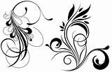 Vector Flourishes Flourish Clipart Clip Designs sketch template