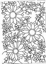 Harunmudak Sunflowers sketch template