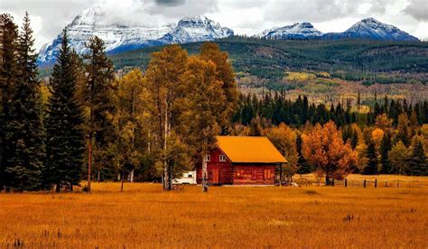 moving  colorado   pros