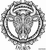 Taurus Aztec Filigree Zodiac Zentangle Bull Constellation Lightbox sketch template