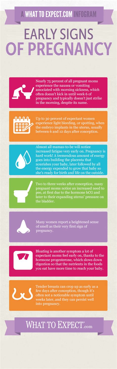 infographic early signs  symptoms  pregnancy   expect