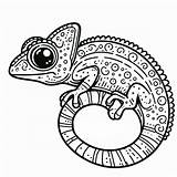 Chameleon Coloring Pages Printable sketch template