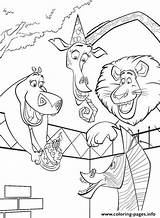 Madagascar Coloring Pages Melman Marty Gloria Kids Alex Printable sketch template