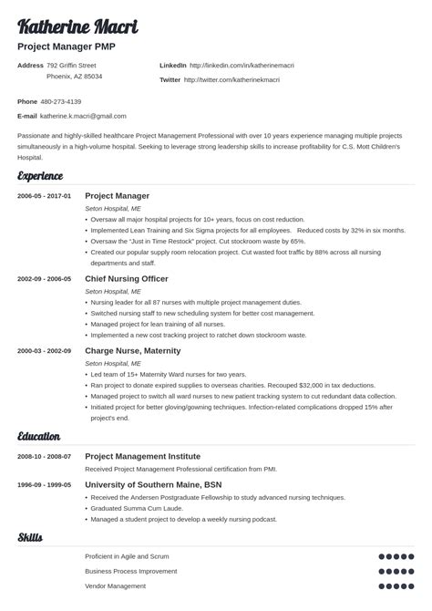 resumes  project managers  samples examples format resume curruculum vitae