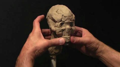 Sculpting A Human Skull In Clay Part 1 Youtube