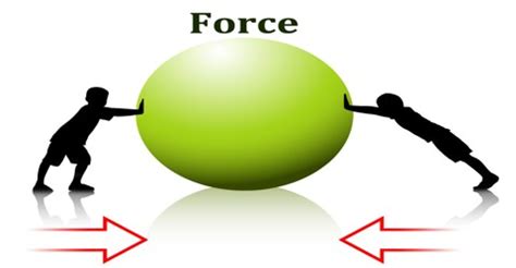 force assignment point