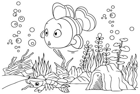 adorable clownfish coloring page  printable coloring pages