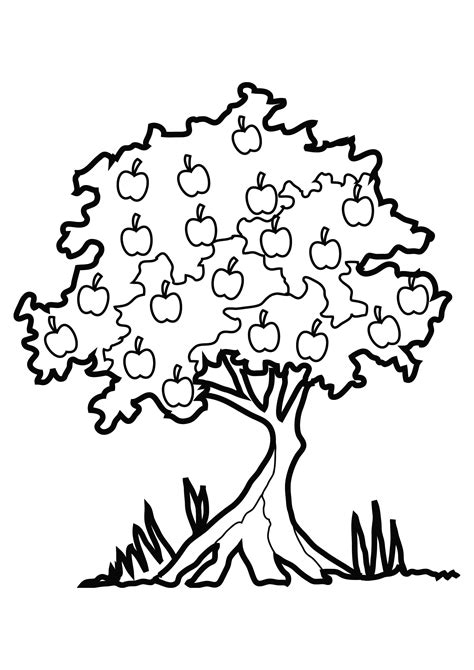 clipart  apple pages tree coloring page flower coloring pages