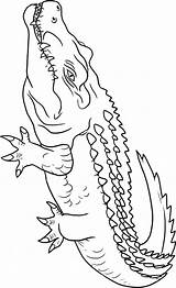 Crocodile Coloring Pages Color Animals Crocodiles Animal Printable Print Drawing Alligators Outline Kids Sheets Town Getdrawings Animalstown Powered Results sketch template