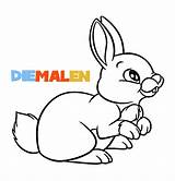 Hasen Kaninchen Ausmalbild Ausdrucken Diemalen Hase Malvorlagen sketch template