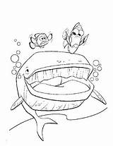 Finding Coloring Pages Squirt Nemo Getcolorings sketch template