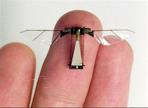 micro fly cyborg insects spy gadgets technology gadgets tech gadgets