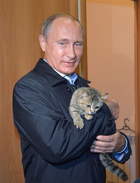 vladimir putin presidente de rusia Кошки Кот и Кошки и котята