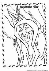 Willow Grandmother Pocahontas Colorkid sketch template