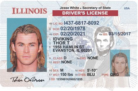 illinois drivers license illinois driver license template  psd
