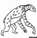 Prehistoric Mammals Chalicotherium Cheetah Thecolor sketch template