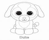 Coloring Pages Beanie Boo Duke Info Print Color Printable sketch template