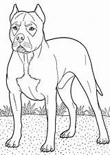 Coloring Pages Boxer Dog Backyard Guarding Boxers Guard Tocolor Color Dogs Kids Sheets Search sketch template