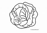 Coloring Pages Vegetable Cabbage Printable Kids Vegetables Garden Drawing Clipartmag 4kids Sheets Books Choose Board sketch template