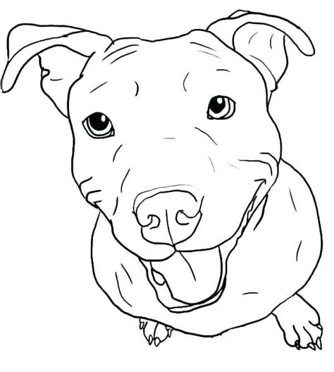 pitbull coloring pages  printable coloring pages  kids