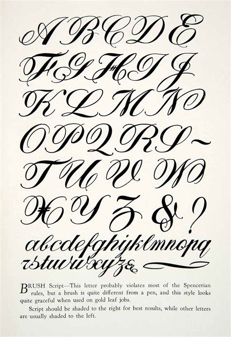 print brush script typeface graphic alphabet decorative