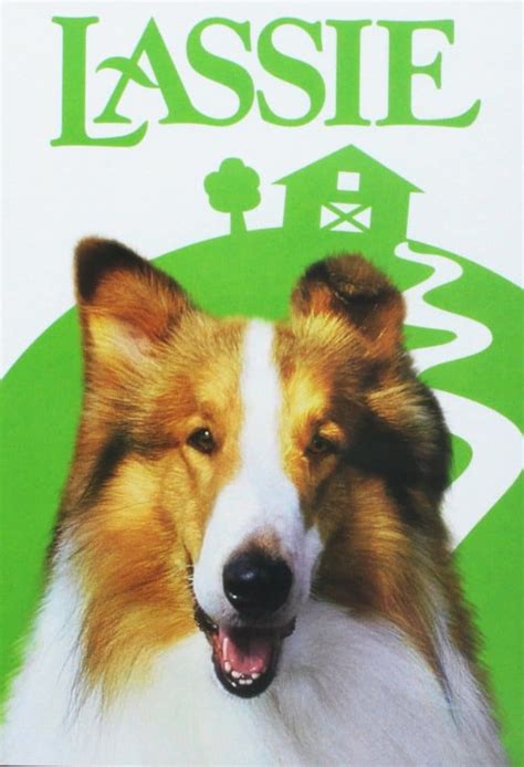 Lassie Dvd 1994 Paramount