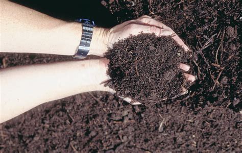 soil organic carbon agriculture  food